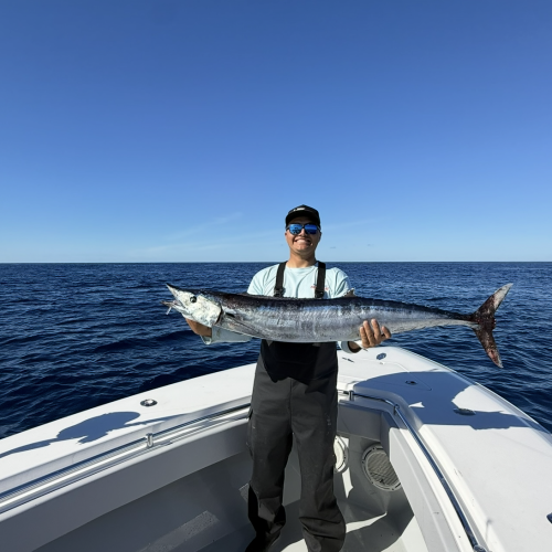 28ft Regulator Yacht For Sale