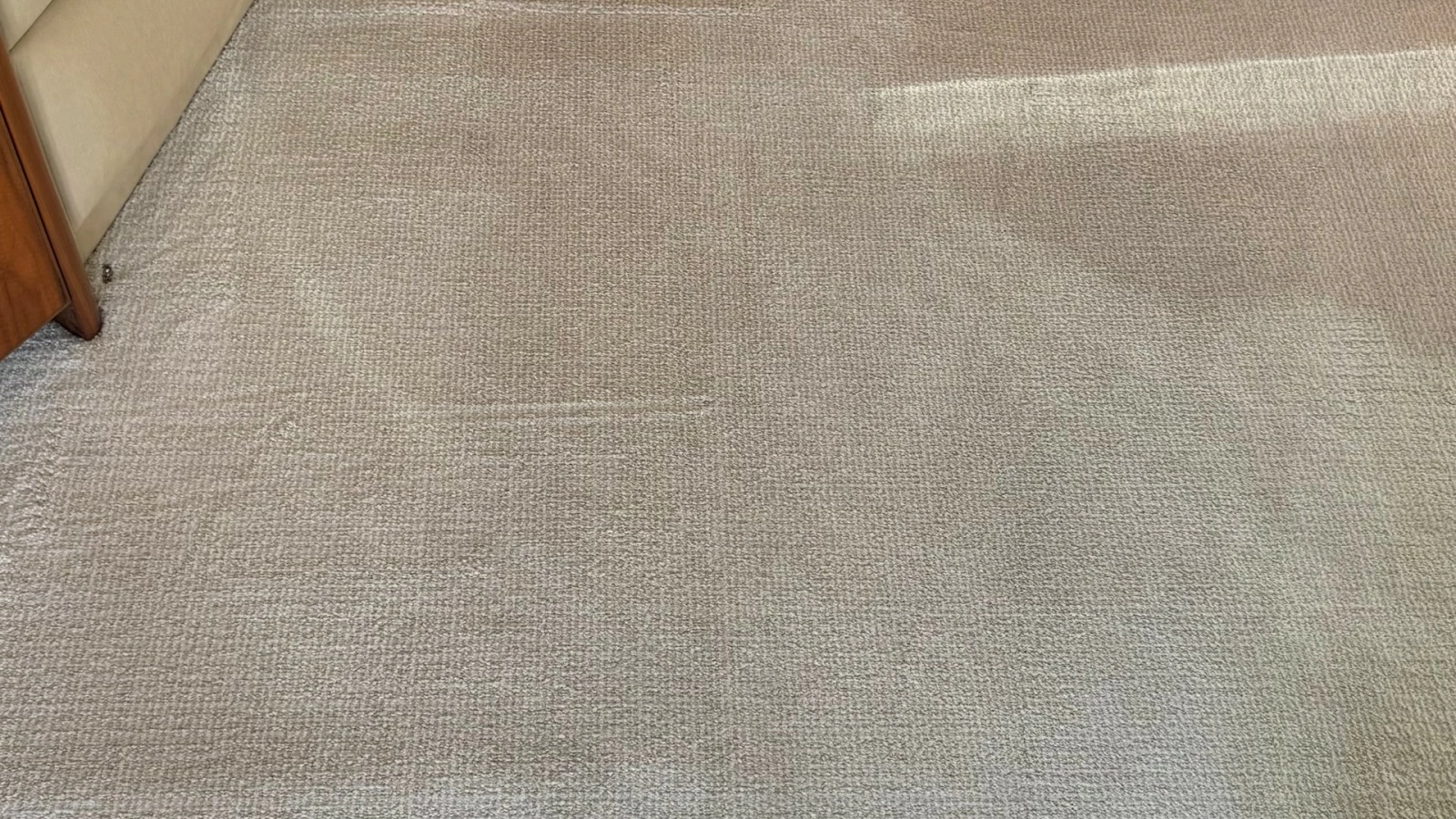 Salon Carpet