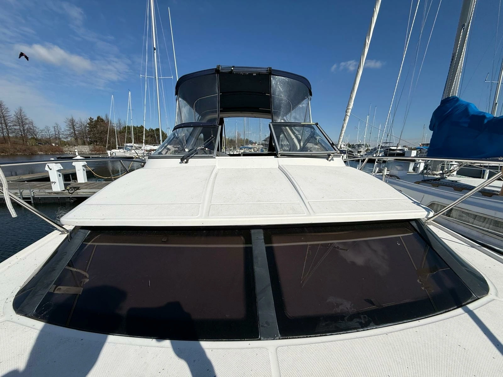 2008 Regal 2860 Window Express 28