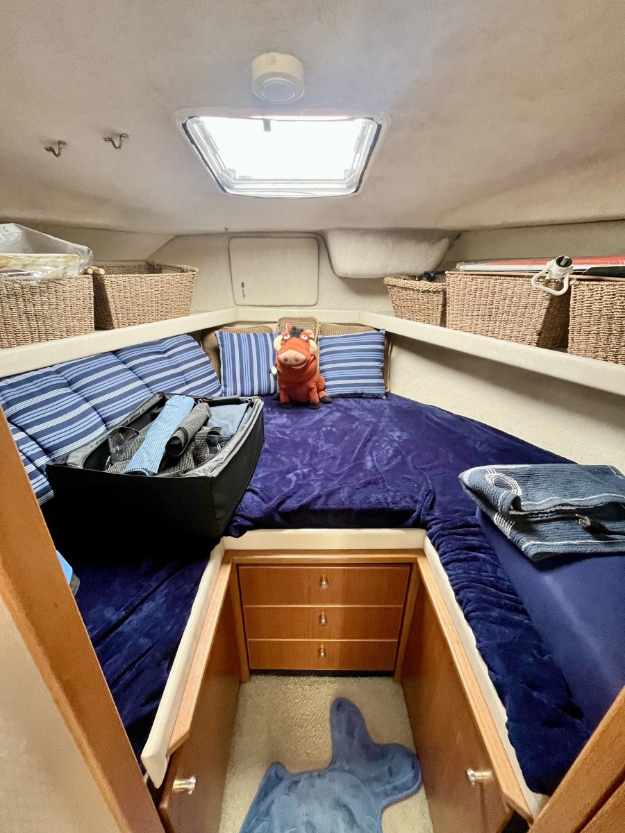 2000 Bayliner  3388