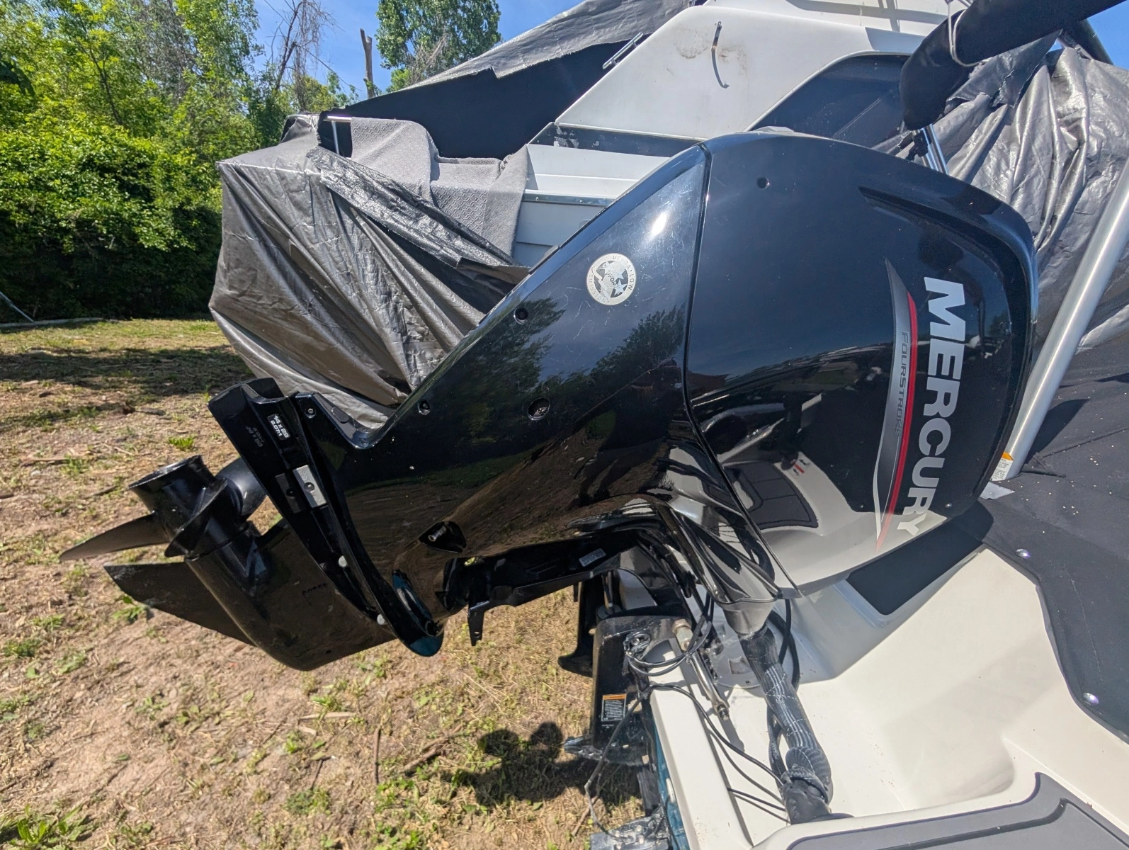 2023 Bayliner Element M17