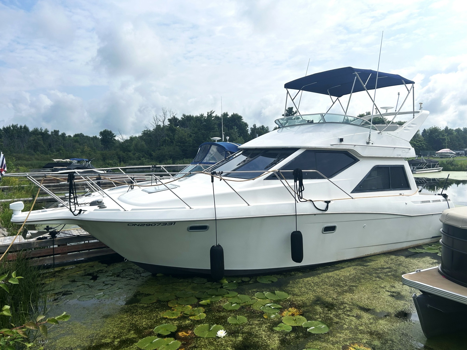 2001 Bayliner  3258