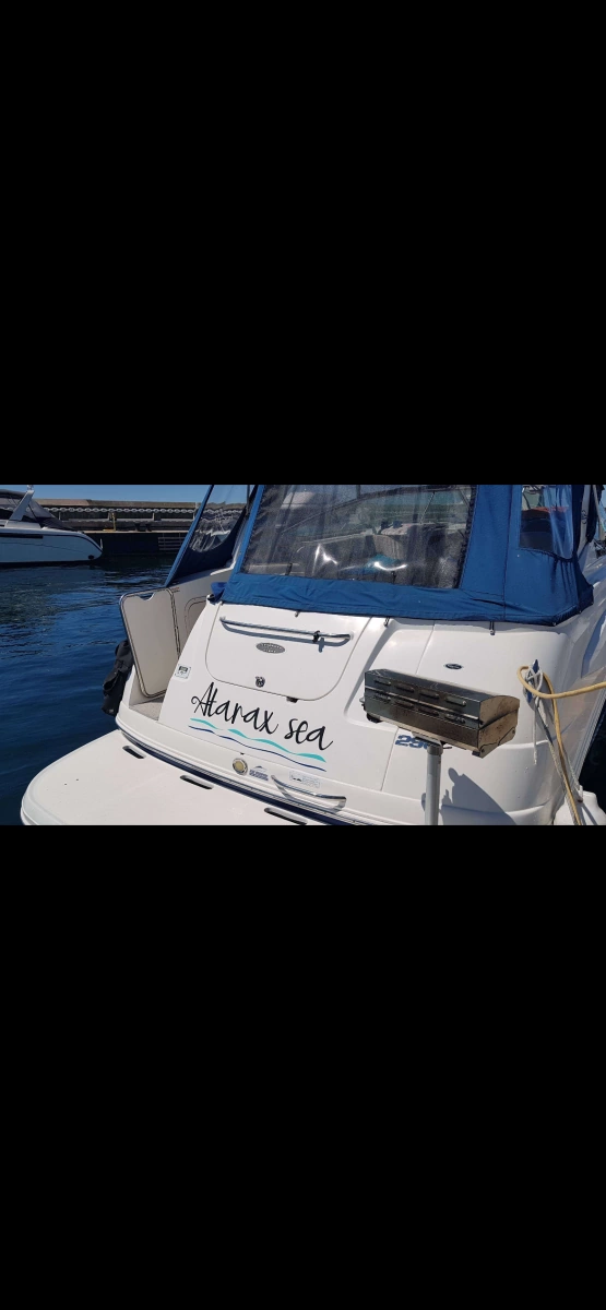 2008 Chaparral  290 Signature