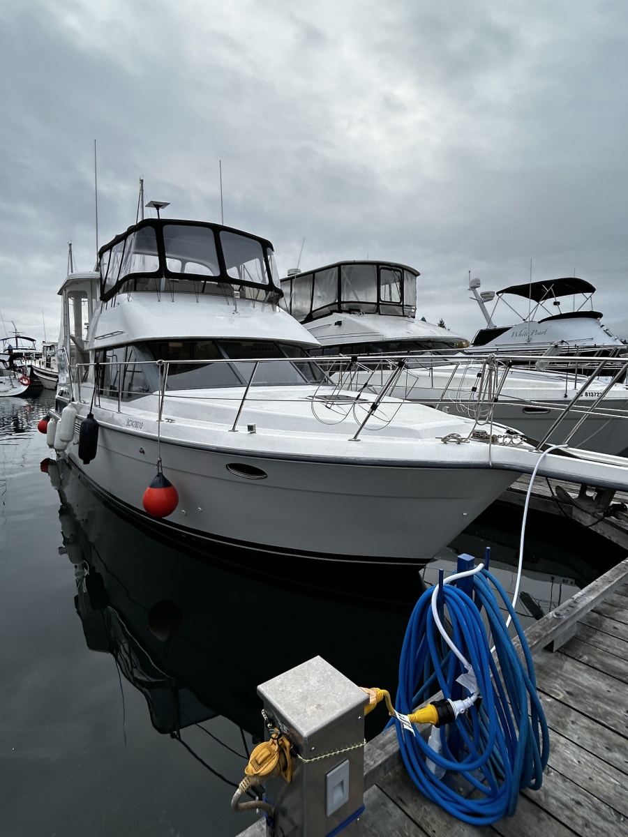 1994 Carver  390