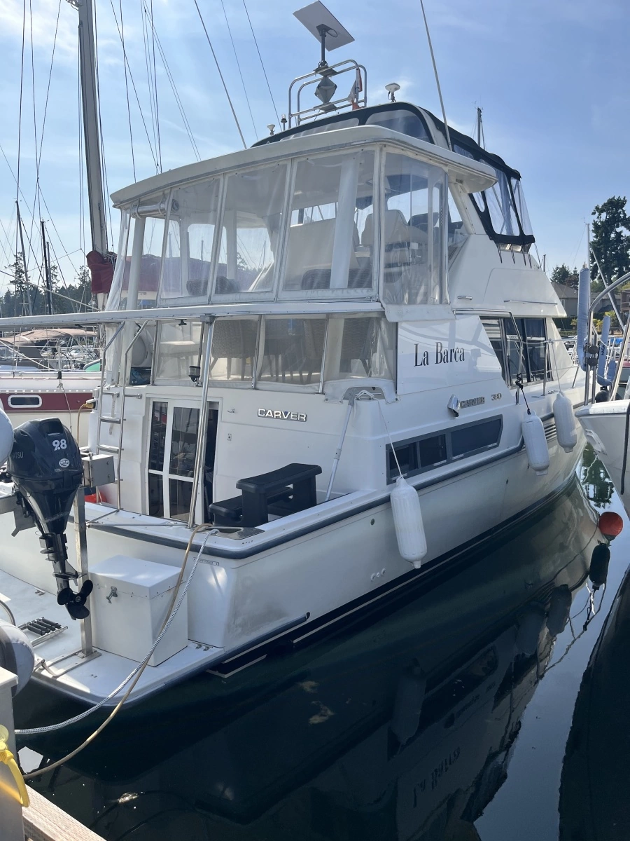 1994 Carver  390