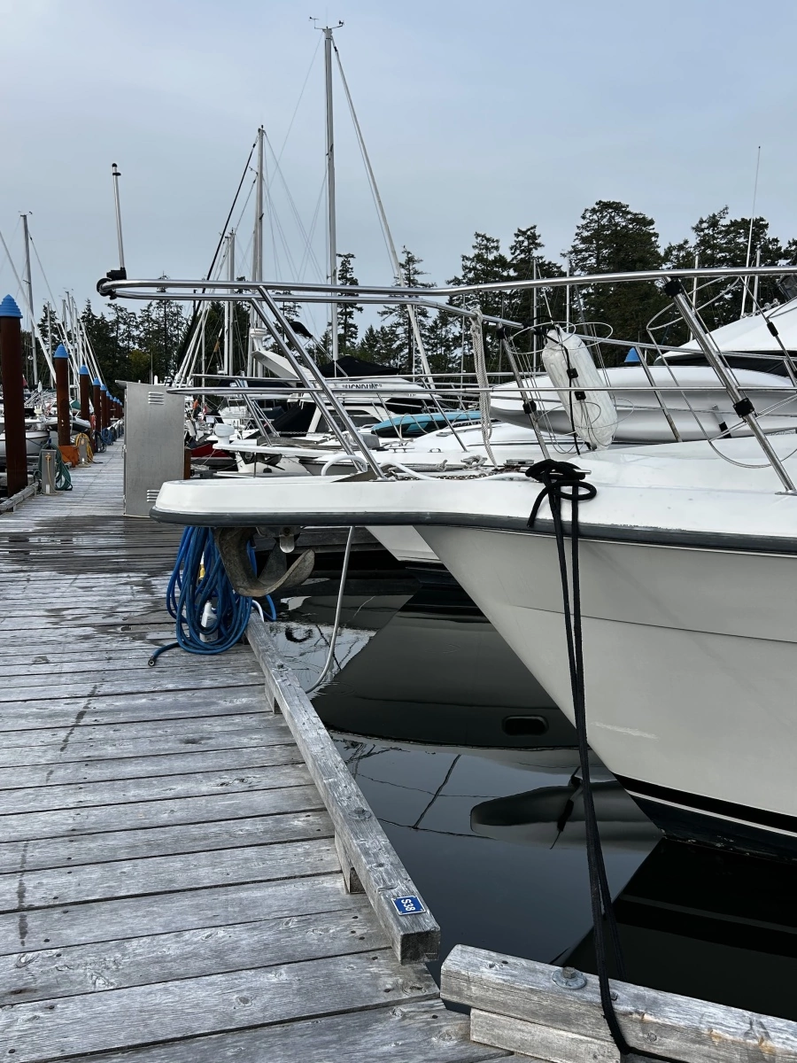 1994 Carver  390