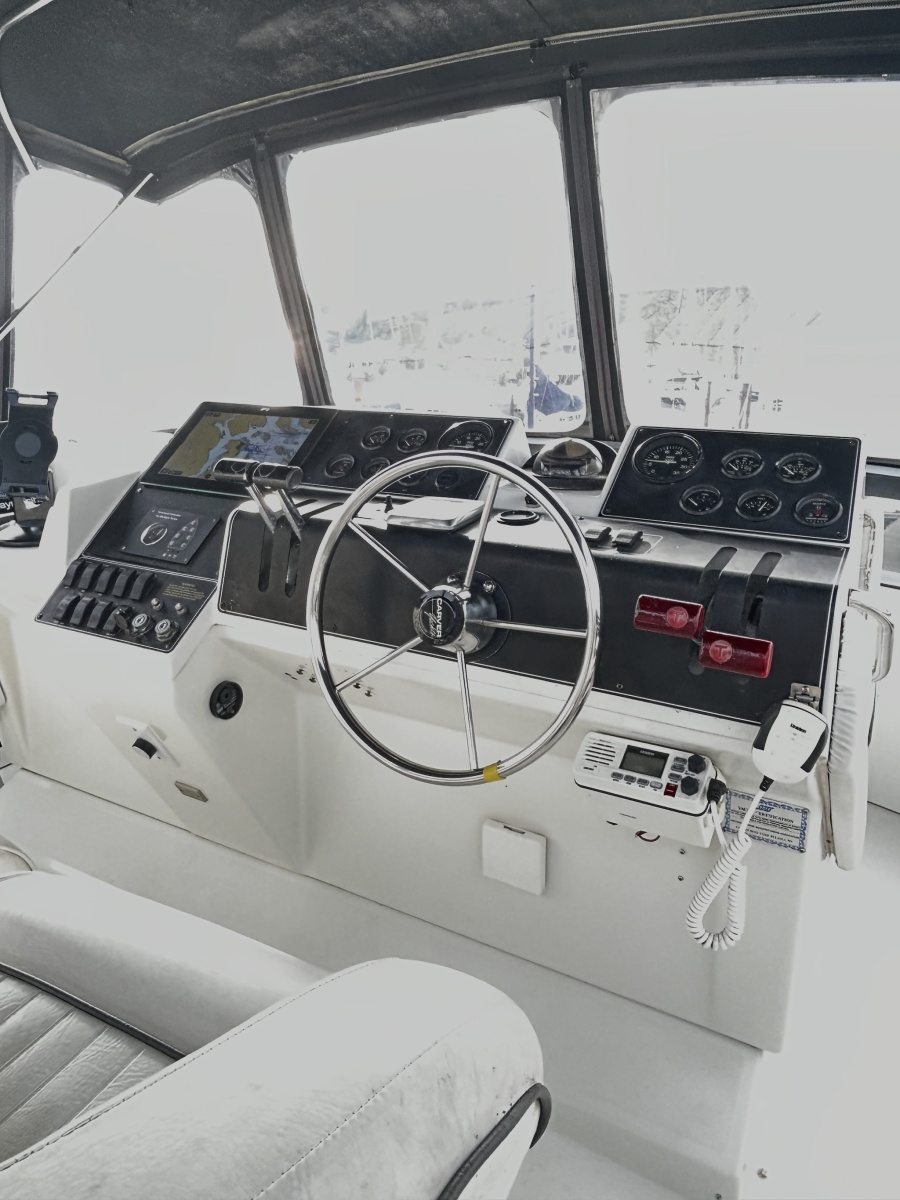 1994 Carver  390