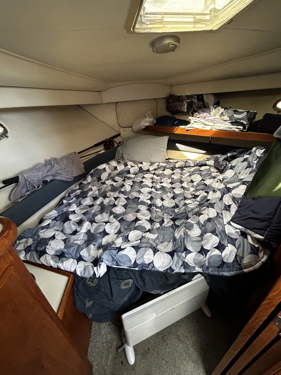 1994 Carver  390
