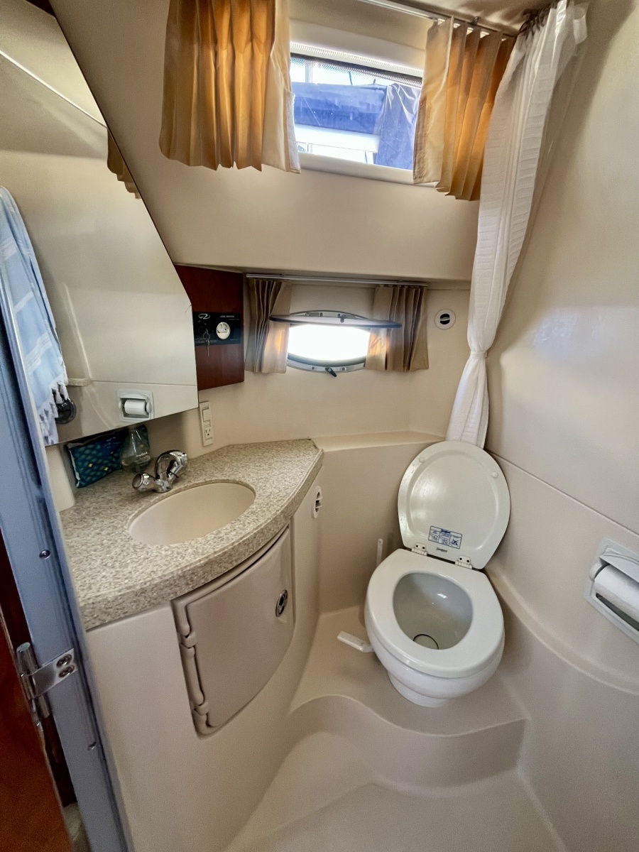 2009 Regal 3060 Window Express