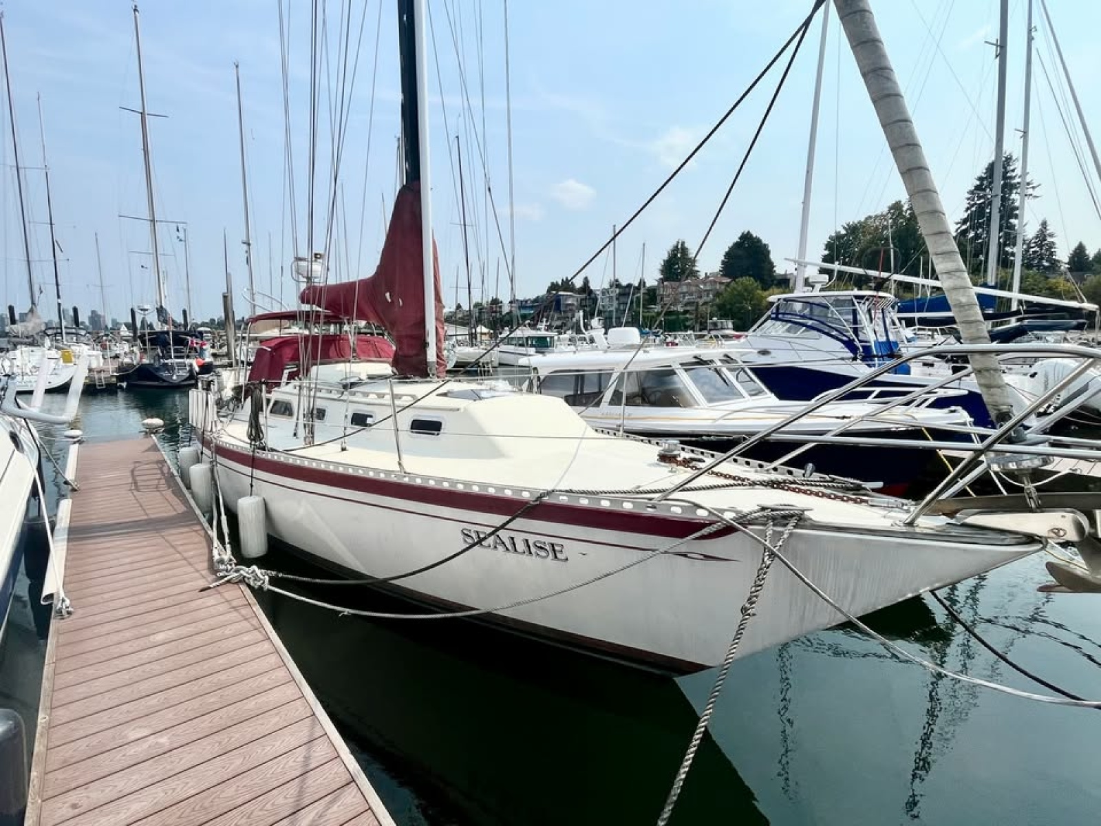 1981 Islander  36