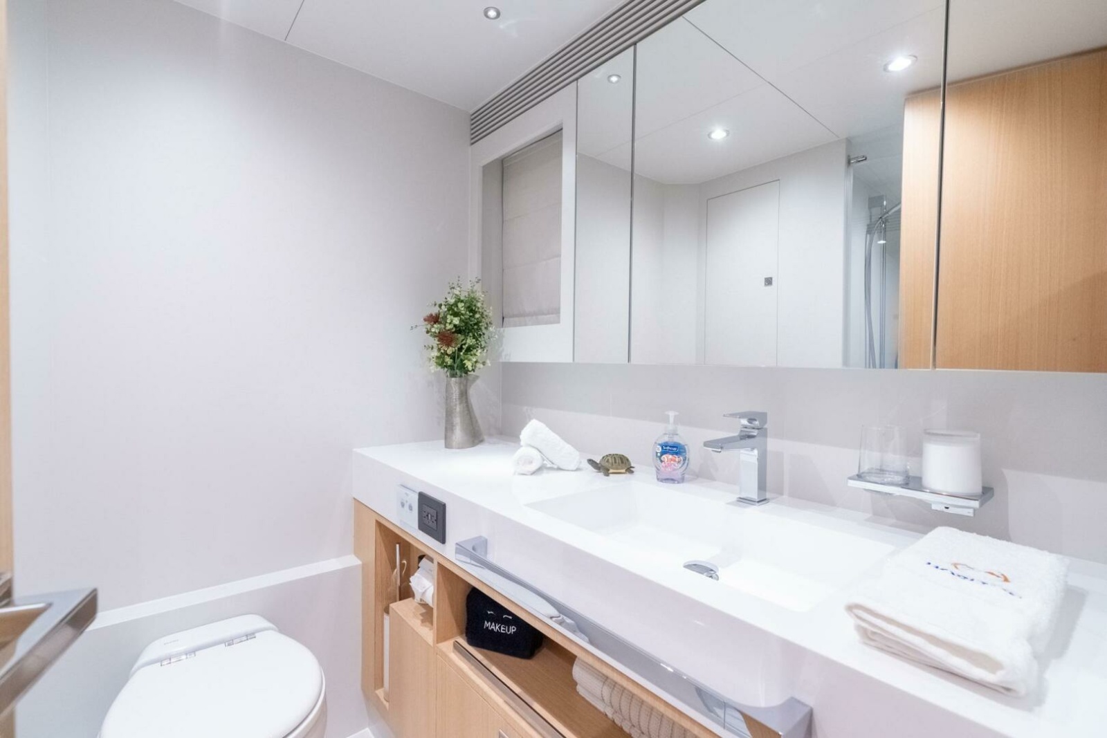 Horizon FD80 SHERI LYNN - Guest Stateroom Queen Ensuite Head
