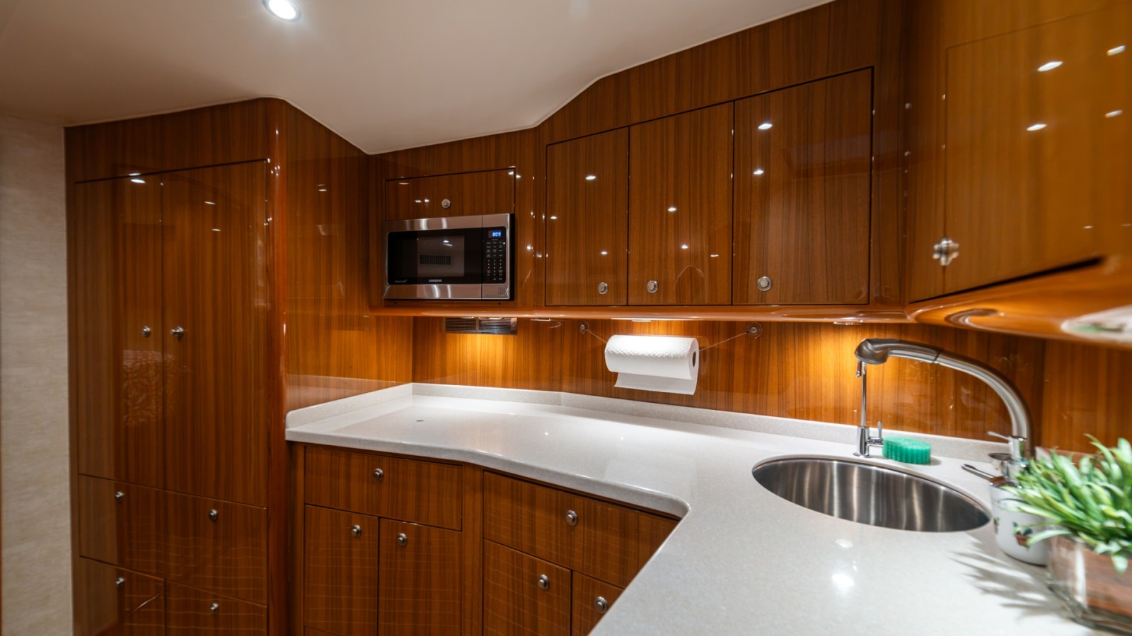 Elegant Galley with Modern Amenities