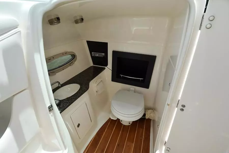 2009 Chaparral 276 SSX-18.jpg