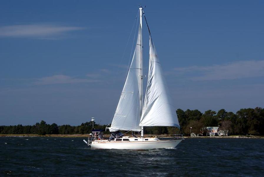 1980 CAL 39