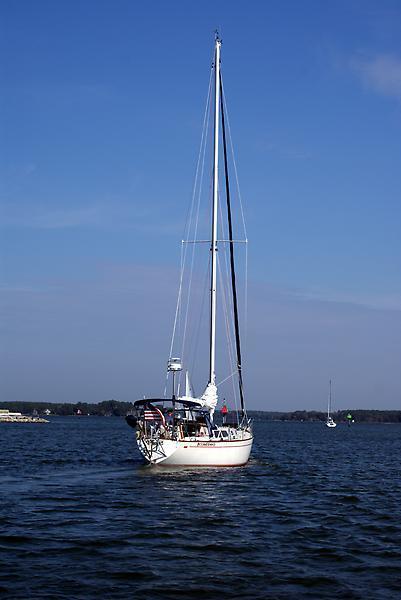 1980 CAL 39