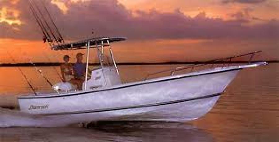 1995 Shamrock 20 Open Fish