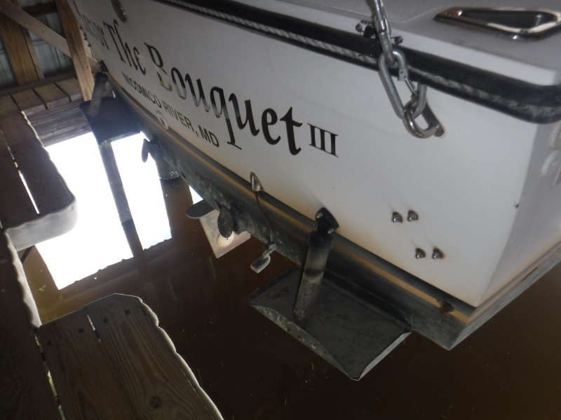 1995 Shamrock 20 Open Fish