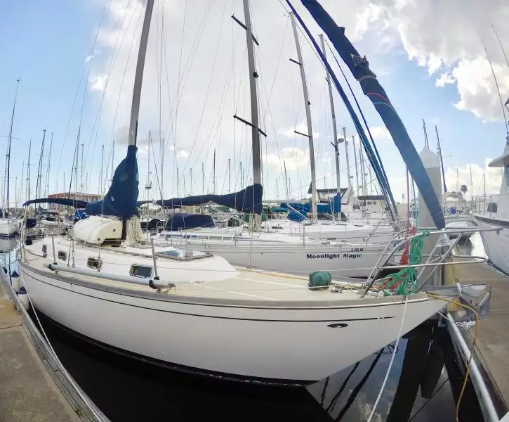 Tartan 37 from Starboard