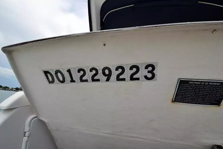 2008 Regal 3060 Window Express