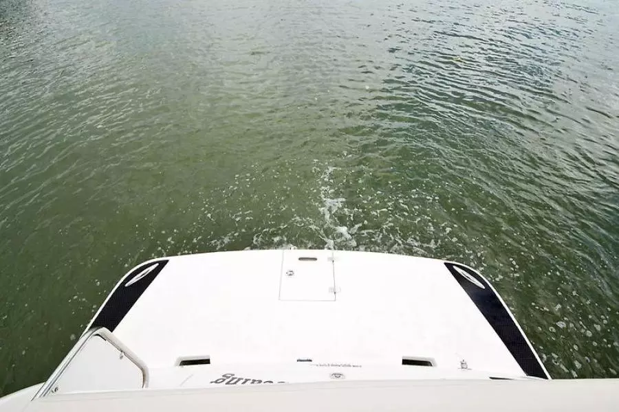 2008 Regal 3060 Window Express