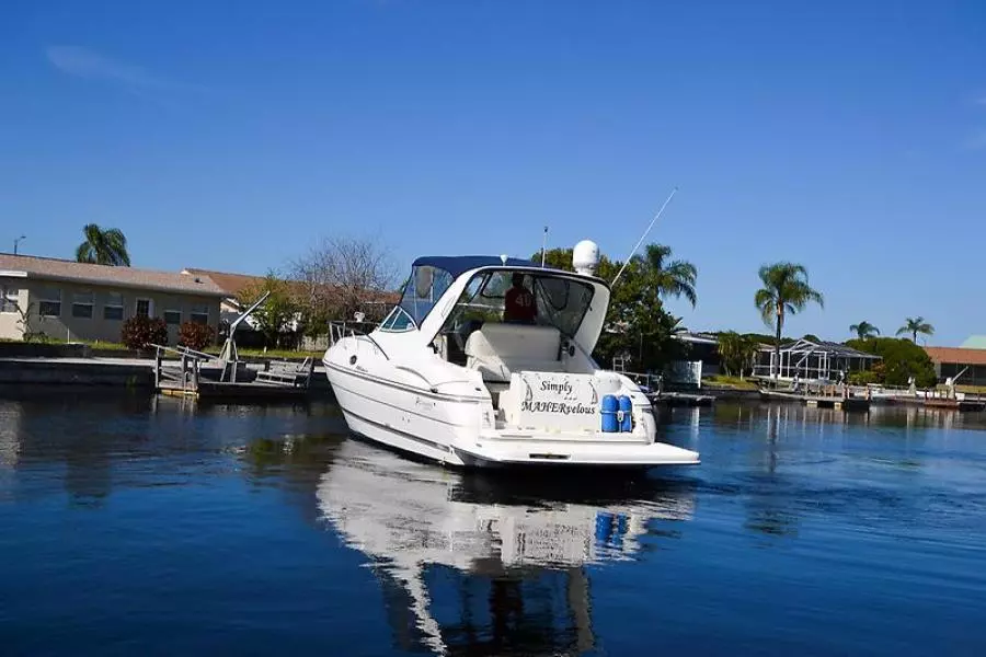 2006 Cruisers Yachts 320 Express