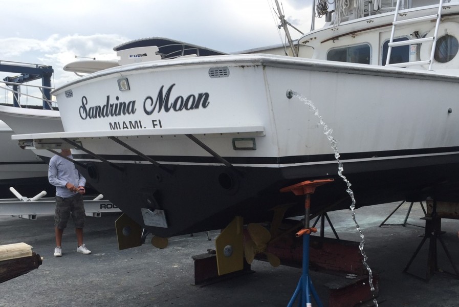 1979 Bertram Flybridge Cruiser