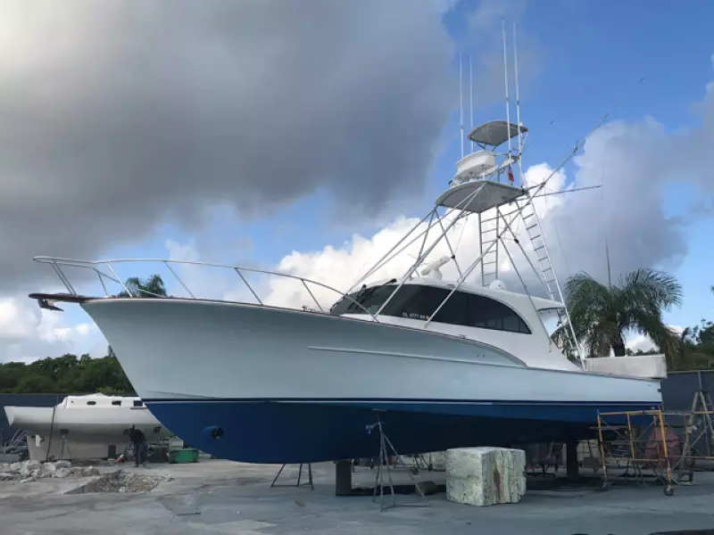 August 2018 Yard Visit