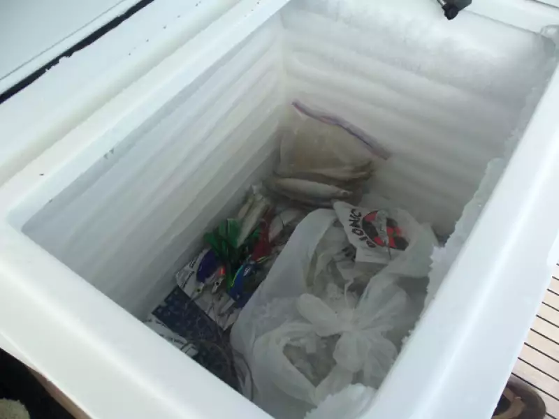 Bait Freezer