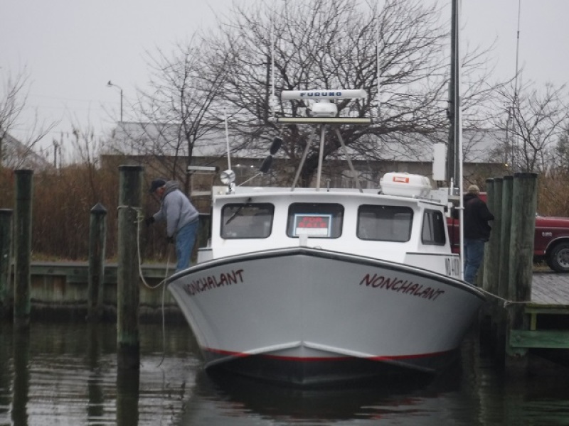 2003 Evans & Sons 48