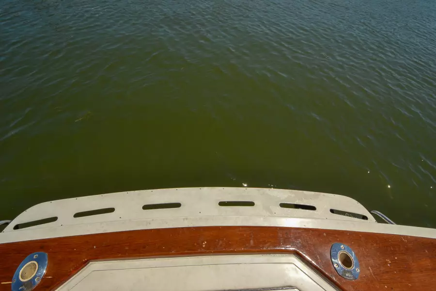 Swim Platform