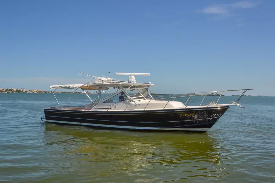 1995 Black Watch 36 Express