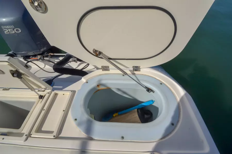 LunaC 30ft Wellcraft Yacht For Sale