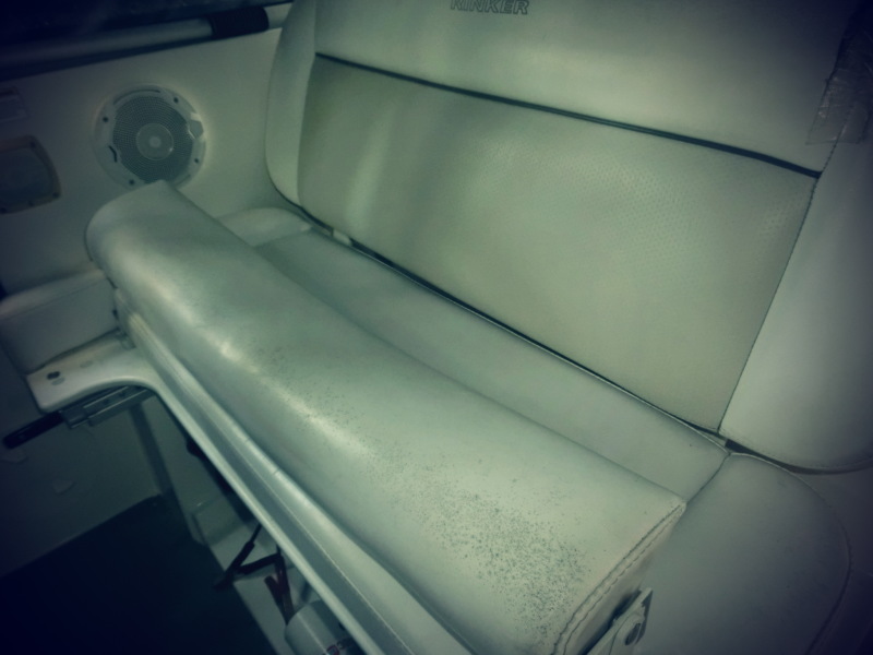 2006 Rinker 320 express Cruiser