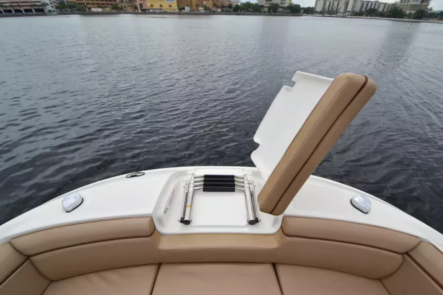 2017 Sea Ray 290 SDX