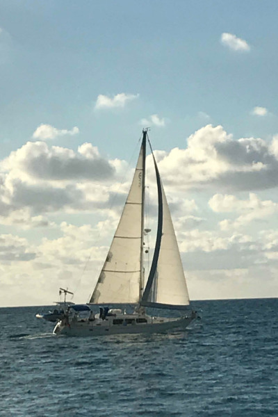 1984 CAL cal 44