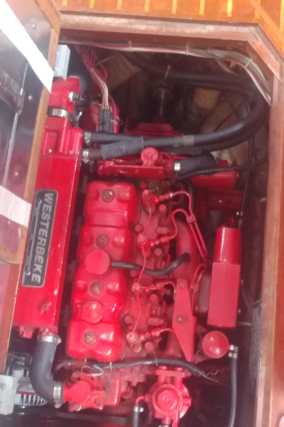 1984 CAL cal 44