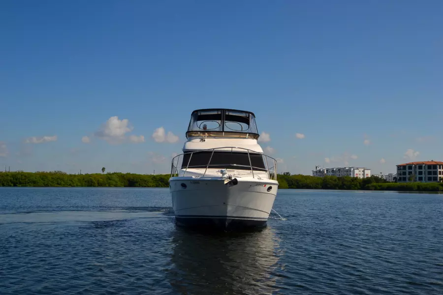 2008 Meridian 391 Sedan Bridge