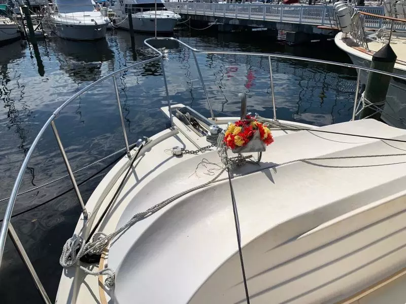 Three Dog Night 38ft Marine Trader Yacht For Sale