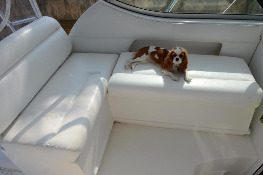 37' 2005 Stamas Express