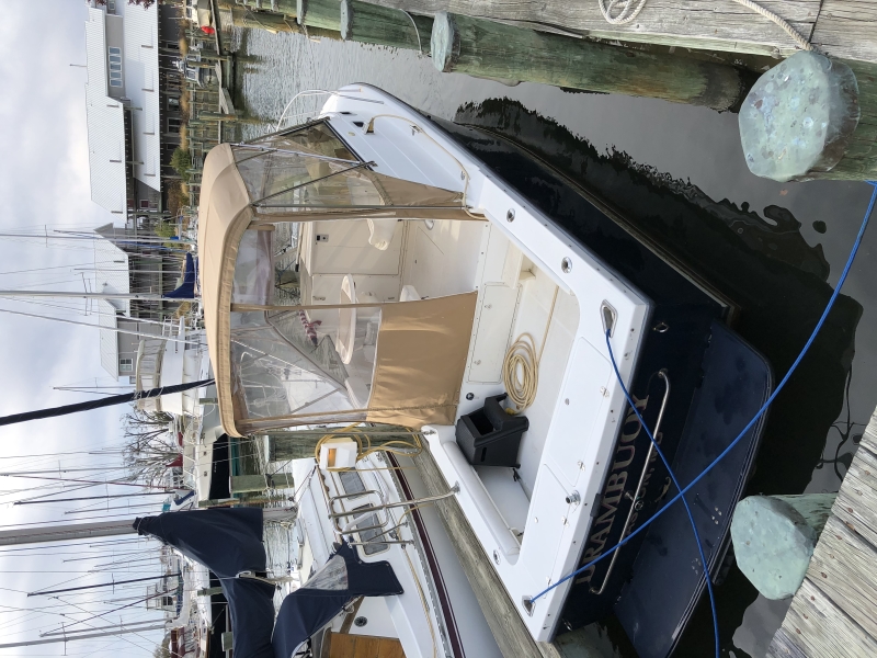 2000 Shamrock 260