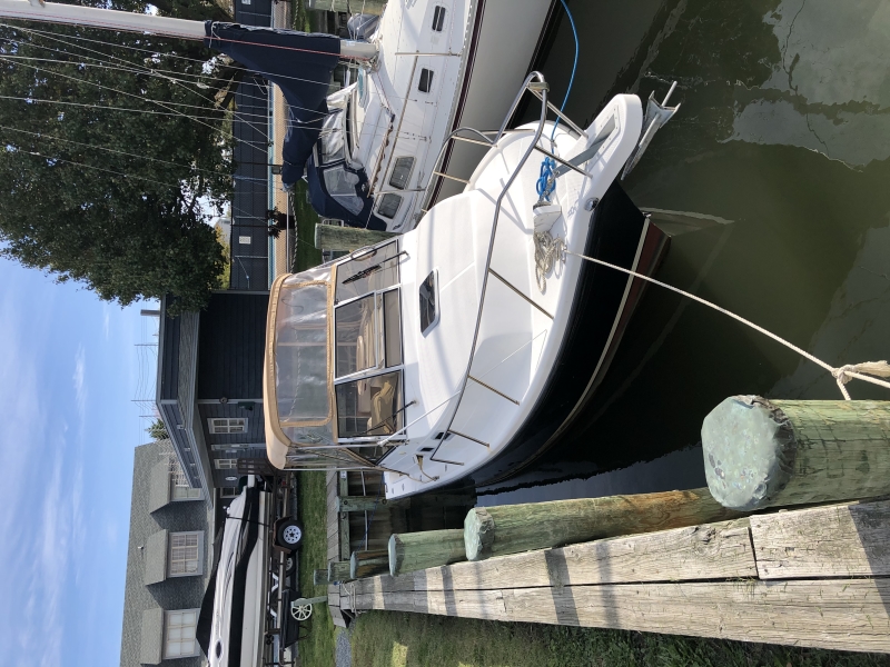 2000 Shamrock 260