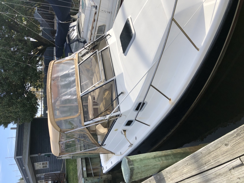 2000 Shamrock 260