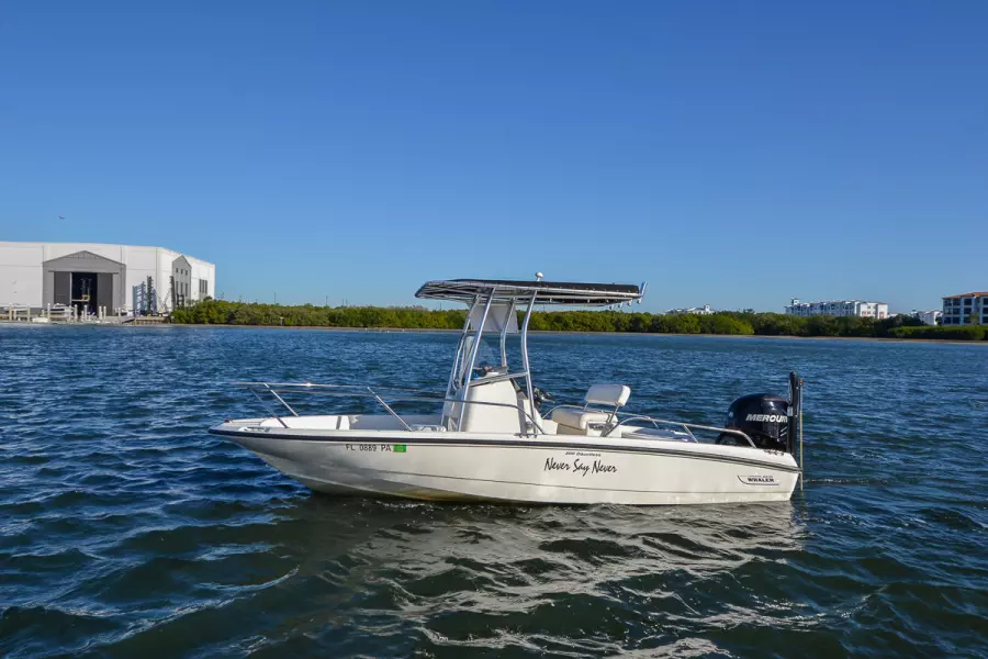 2009 Boston Whaler 200 Dauntless