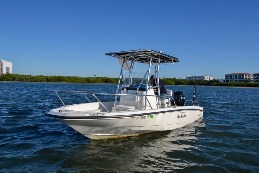 2009 Boston Whaler 200 Dauntless