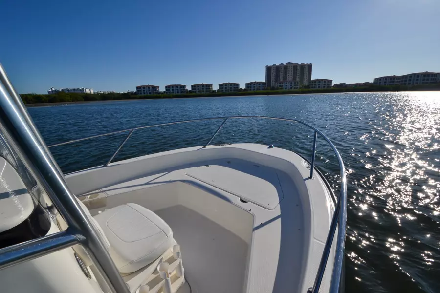 2009 Boston Whaler 200 Dauntless