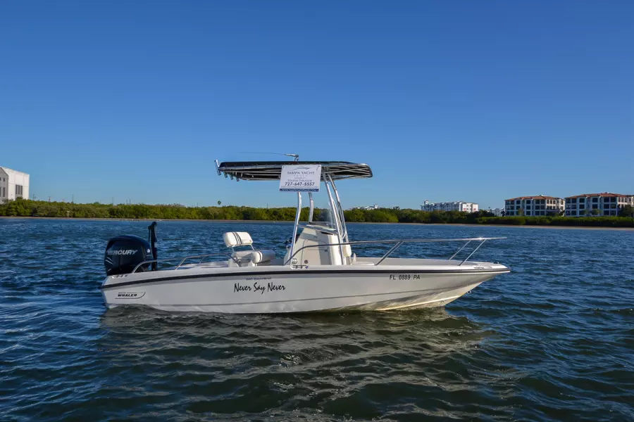 2009 Boston Whaler 200 Dauntless