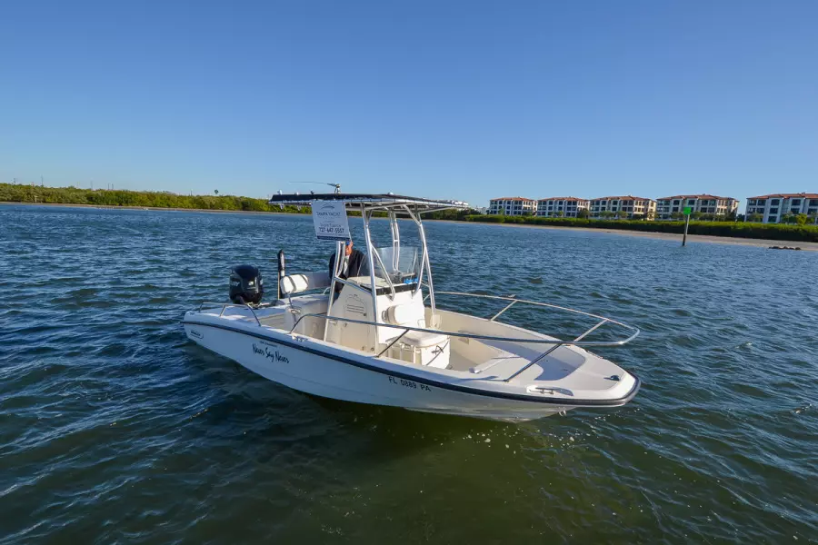 2009 Boston Whaler 200 Dauntless
