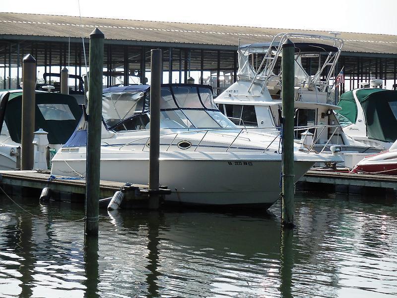 1999 Monterey 296