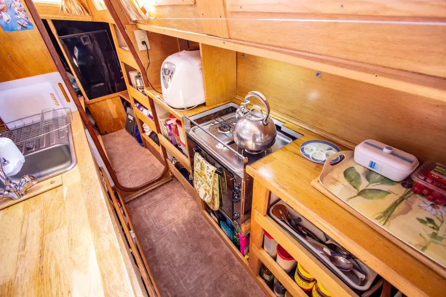 1986 Prout Snowgoose