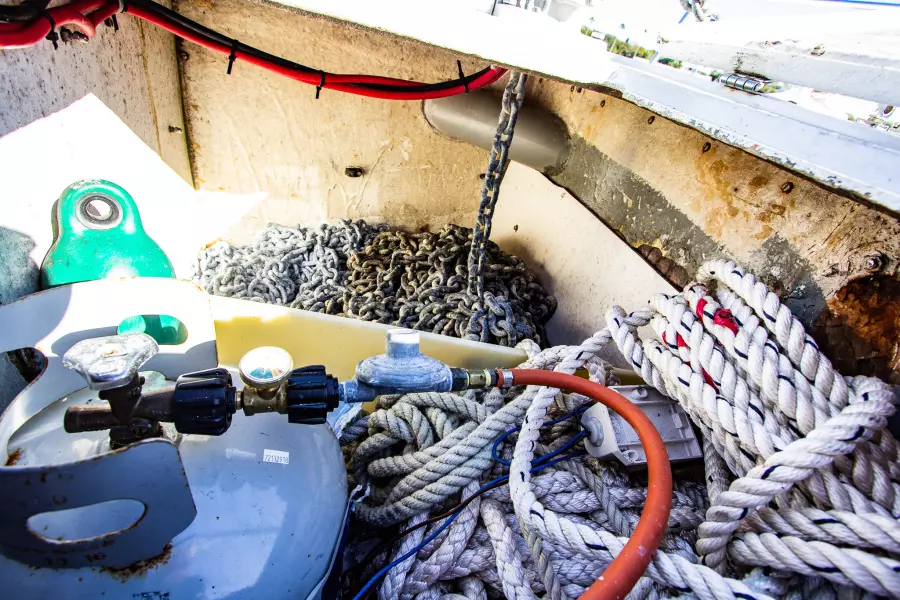 1986 Prout Snowgoose